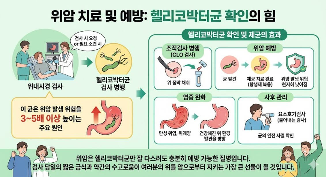 위 내시경 전날 음식 금기 사항, 위암 검진 시 헬리코박터균 확인 - 똑똑한 암 가이드